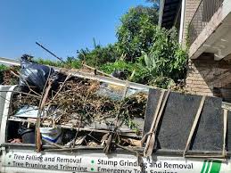 Best Recycling Services for Junk  in Zion, IL